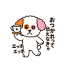 かわいいマルプー  ベイス君スタンプ！（個別スタンプ：1）