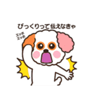 かわいいマルプー  ベイス君スタンプ！（個別スタンプ：2）