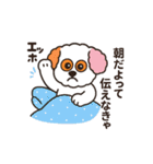 かわいいマルプー  ベイス君スタンプ！（個別スタンプ：3）