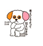 かわいいマルプー  ベイス君スタンプ！（個別スタンプ：5）