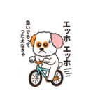 かわいいマルプー  ベイス君スタンプ！（個別スタンプ：6）