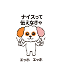 かわいいマルプー  ベイス君スタンプ！（個別スタンプ：9）