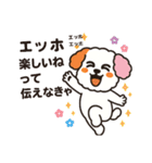 かわいいマルプー  ベイス君スタンプ！（個別スタンプ：10）