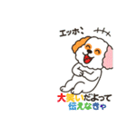 かわいいマルプー  ベイス君スタンプ！（個別スタンプ：11）