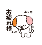 かわいいマルプー  ベイス君スタンプ！（個別スタンプ：12）