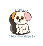 かわいいマルプー  ベイス君スタンプ！（個別スタンプ：14）