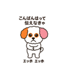 かわいいマルプー  ベイス君スタンプ！（個別スタンプ：17）