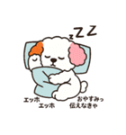 かわいいマルプー  ベイス君スタンプ！（個別スタンプ：20）