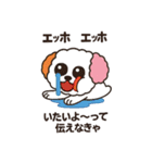 かわいいマルプー  ベイス君スタンプ！（個別スタンプ：21）