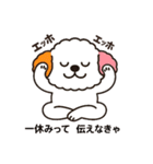かわいいマルプー  ベイス君スタンプ！（個別スタンプ：23）