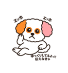 かわいいマルプー  ベイス君スタンプ！（個別スタンプ：24）