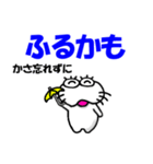 【令和7年夏】しろアザラシの毎日（個別スタンプ：14）