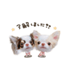 ある.じる.えるちゃんdeformation（個別スタンプ：2）