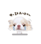 ある.じる.えるちゃんdeformation（個別スタンプ：8）