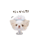 ある.じる.えるちゃんdeformation（個別スタンプ：14）