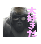 ややトゲあるゴリラで使える関西弁(超便利)（個別スタンプ：23）
