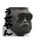 ややトゲあるゴリラで使える関西弁(超便利)（個別スタンプ：29）