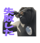 ややトゲあるゴリラで使える関西弁(超便利)（個別スタンプ：31）