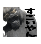 ややトゲあるゴリラで使える関西弁(超便利)（個別スタンプ：32）