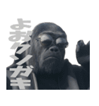 ややトゲあるゴリラで使える関西弁(超便利)（個別スタンプ：33）