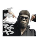 ややトゲあるゴリラで使える関西弁(超便利)（個別スタンプ：35）