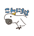 キバタン好きに贈るスタンプ（個別スタンプ：2）