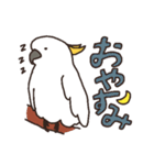 キバタン好きに贈るスタンプ（個別スタンプ：4）