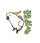 キバタン好きに贈るスタンプ（個別スタンプ：5）