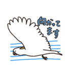 キバタン好きに贈るスタンプ（個別スタンプ：6）
