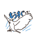 キバタン好きに贈るスタンプ（個別スタンプ：7）