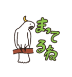 キバタン好きに贈るスタンプ（個別スタンプ：8）