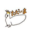 キバタン好きに贈るスタンプ（個別スタンプ：9）