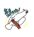 キバタン好きに贈るスタンプ（個別スタンプ：11）