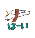 キバタン好きに贈るスタンプ（個別スタンプ：12）