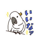 キバタン好きに贈るスタンプ（個別スタンプ：14）