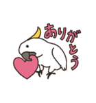 キバタン好きに贈るスタンプ（個別スタンプ：15）