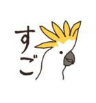 キバタン好きに贈るスタンプ（個別スタンプ：16）