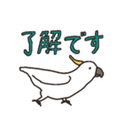 キバタン好きに贈るスタンプ（個別スタンプ：17）