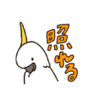 キバタン好きに贈るスタンプ（個別スタンプ：24）