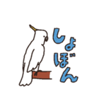 キバタン好きに贈るスタンプ（個別スタンプ：25）