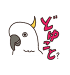 キバタン好きに贈るスタンプ（個別スタンプ：27）