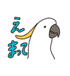 キバタン好きに贈るスタンプ（個別スタンプ：28）