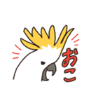 キバタン好きに贈るスタンプ（個別スタンプ：31）