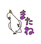 キバタン好きに贈るスタンプ（個別スタンプ：36）