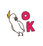 キバタン好きに贈るスタンプ（個別スタンプ：39）