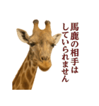 なかよしどうぶつ図鑑(毒吐くキリンさん)（個別スタンプ：1）