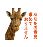 なかよしどうぶつ図鑑(毒吐くキリンさん)（個別スタンプ：2）