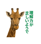なかよしどうぶつ図鑑(毒吐くキリンさん)（個別スタンプ：3）
