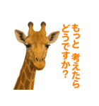 なかよしどうぶつ図鑑(毒吐くキリンさん)（個別スタンプ：5）