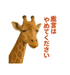 なかよしどうぶつ図鑑(毒吐くキリンさん)（個別スタンプ：8）
